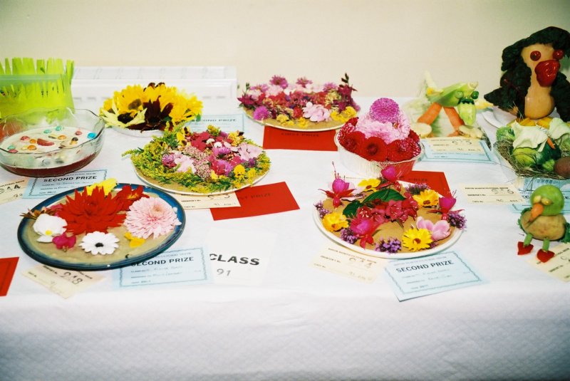 childrensclassdisplayflowerheads.jpg