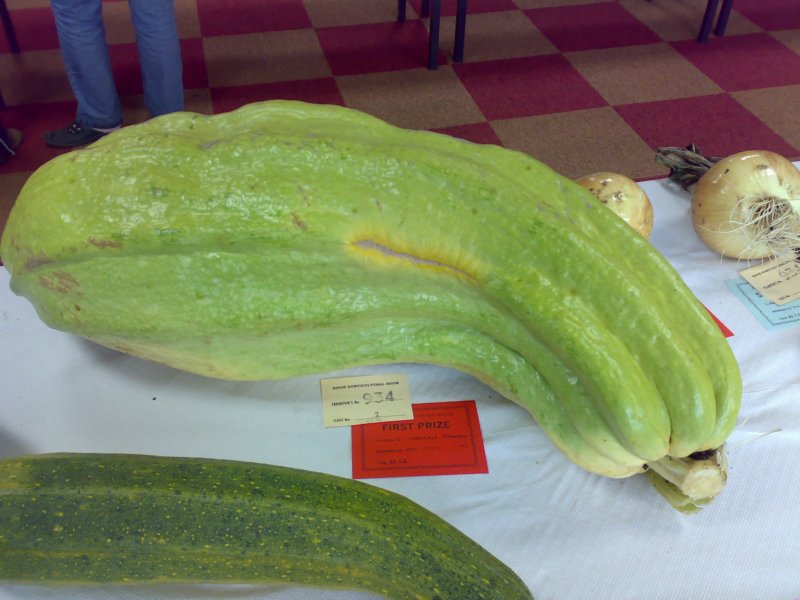 photo.jpg