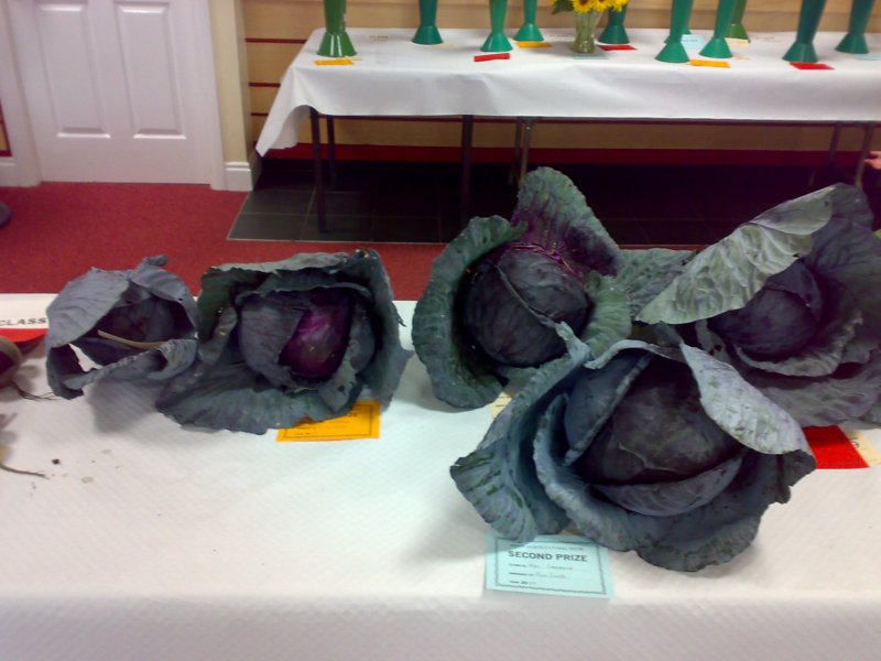 photo24.jpg