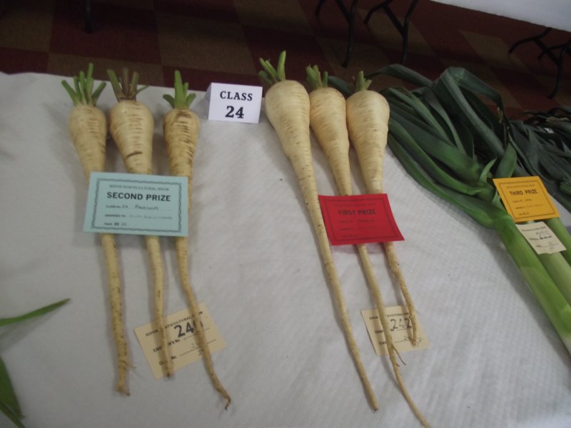 photo24.jpg