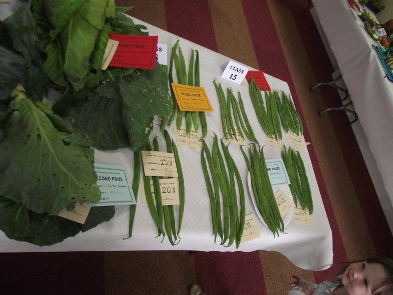 photo31.jpg
