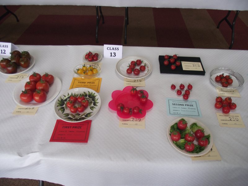 photo33.jpg