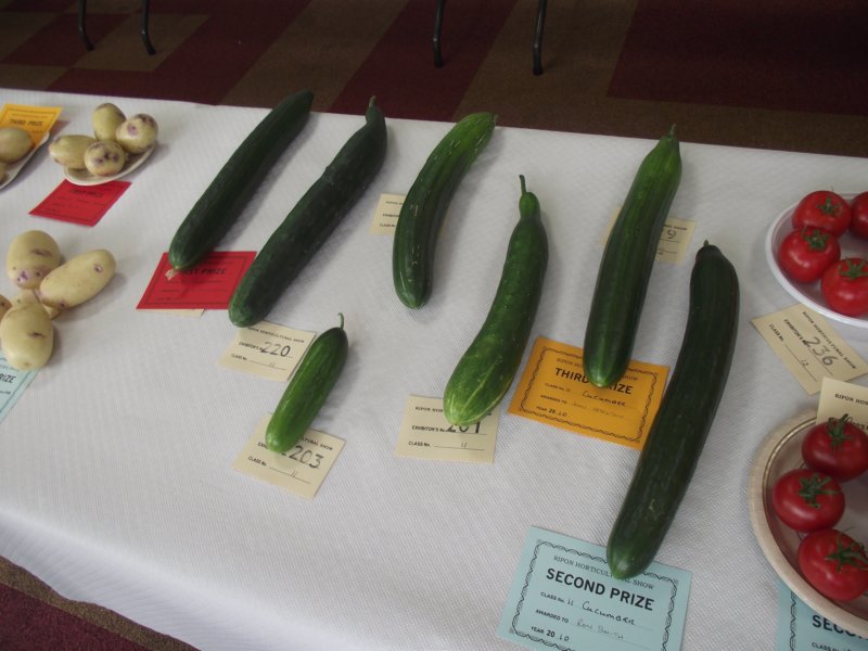 photo35.jpg