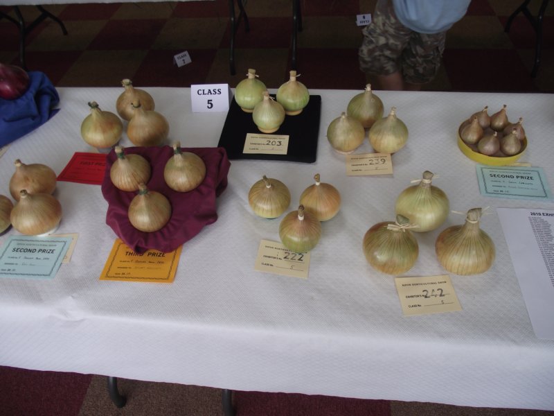 photo39.jpg