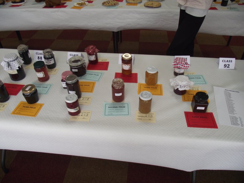 photo46.jpg