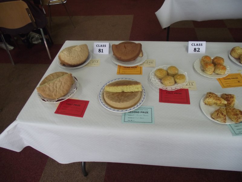photo49.jpg