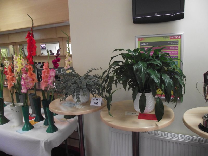 photo61.jpg