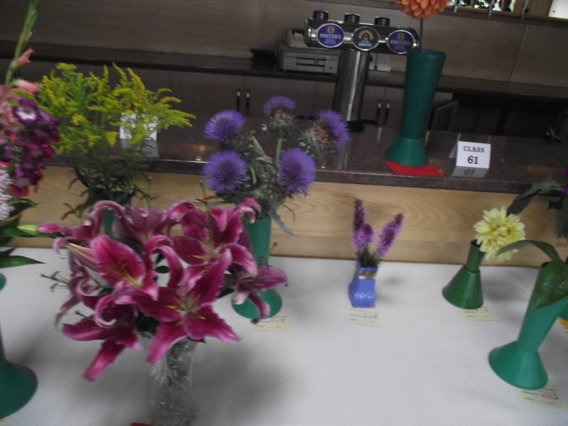 photo67.jpg