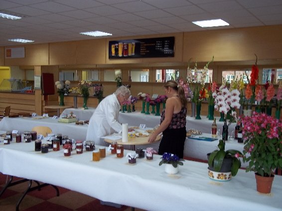 photo84.jpg