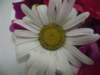photo14_small.jpg