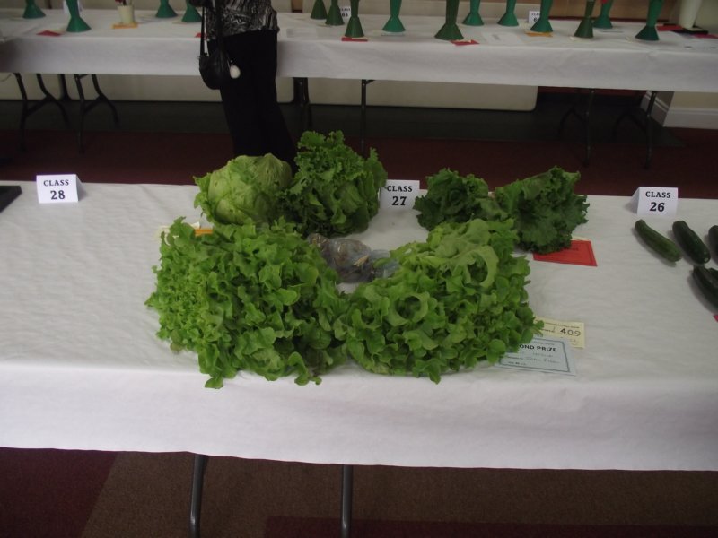 photo29.jpg