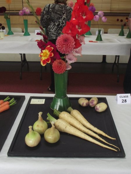 photo31.jpg