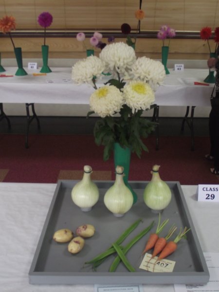 photo33.jpg