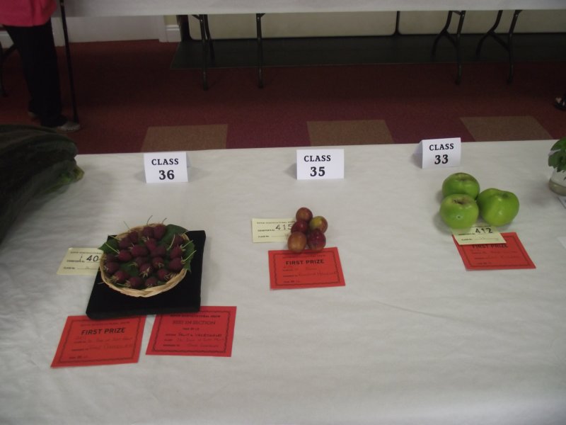 photo36.jpg