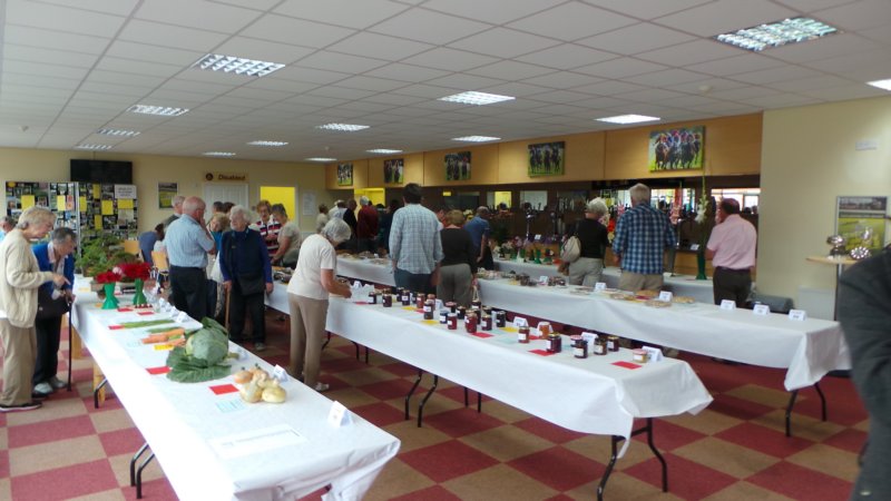 photo27.jpg