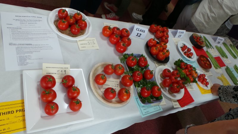 photo40.jpg