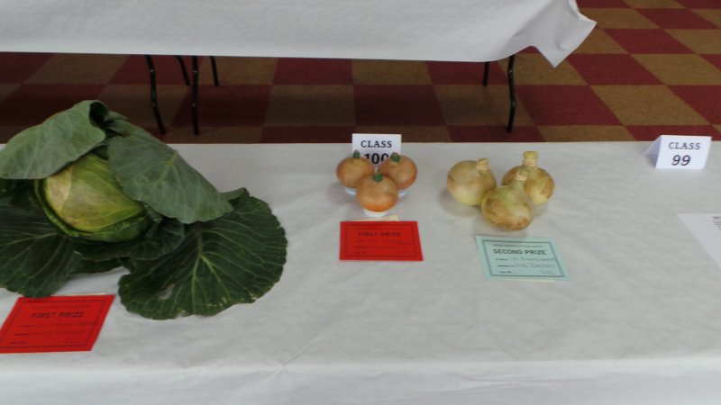 photo41.jpg