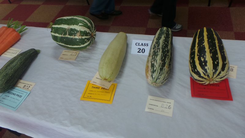photo33.jpg