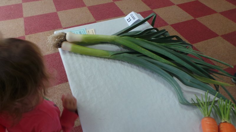 photo35.jpg