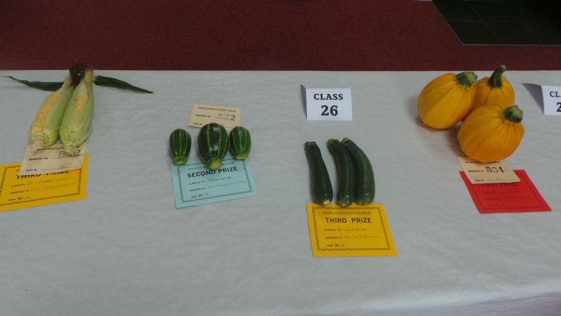 photo54.jpg