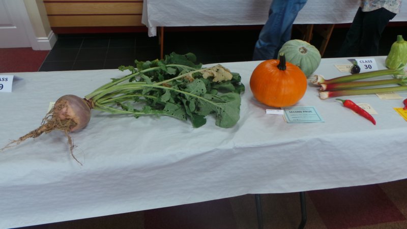 photo57.jpg