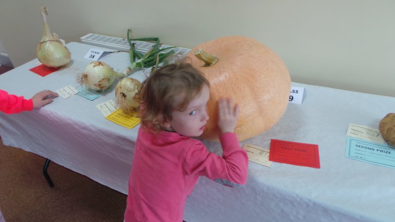 photo65.jpg