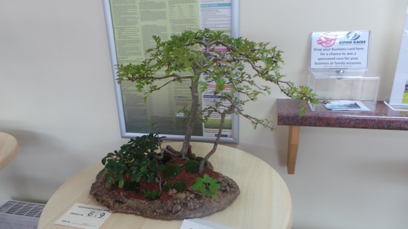 photo77.jpg