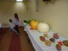 photo105_small.jpg