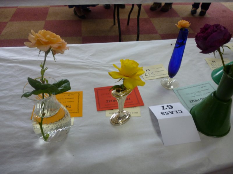 photo126.jpg