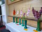 photo153_small.jpg