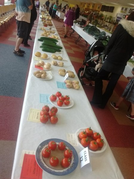 photo22.jpg
