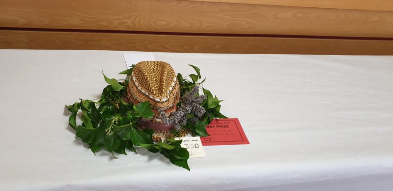 photo3.jpg