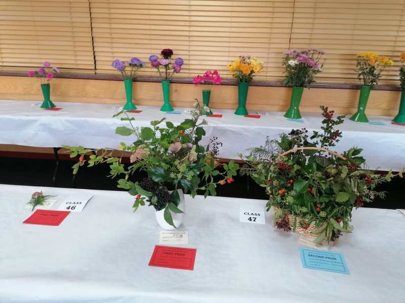 photo23.jpg